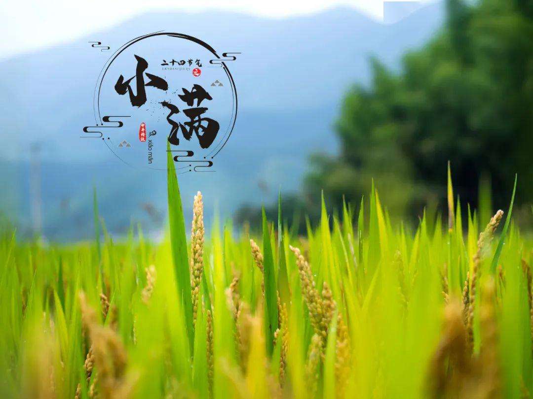 上?？婆d儀器